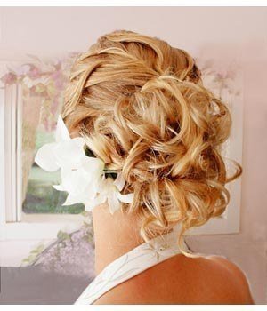 316054_24FRUDXLCCB1R23U3X44HL8U4BDZJN_chignon,1_H152229_L